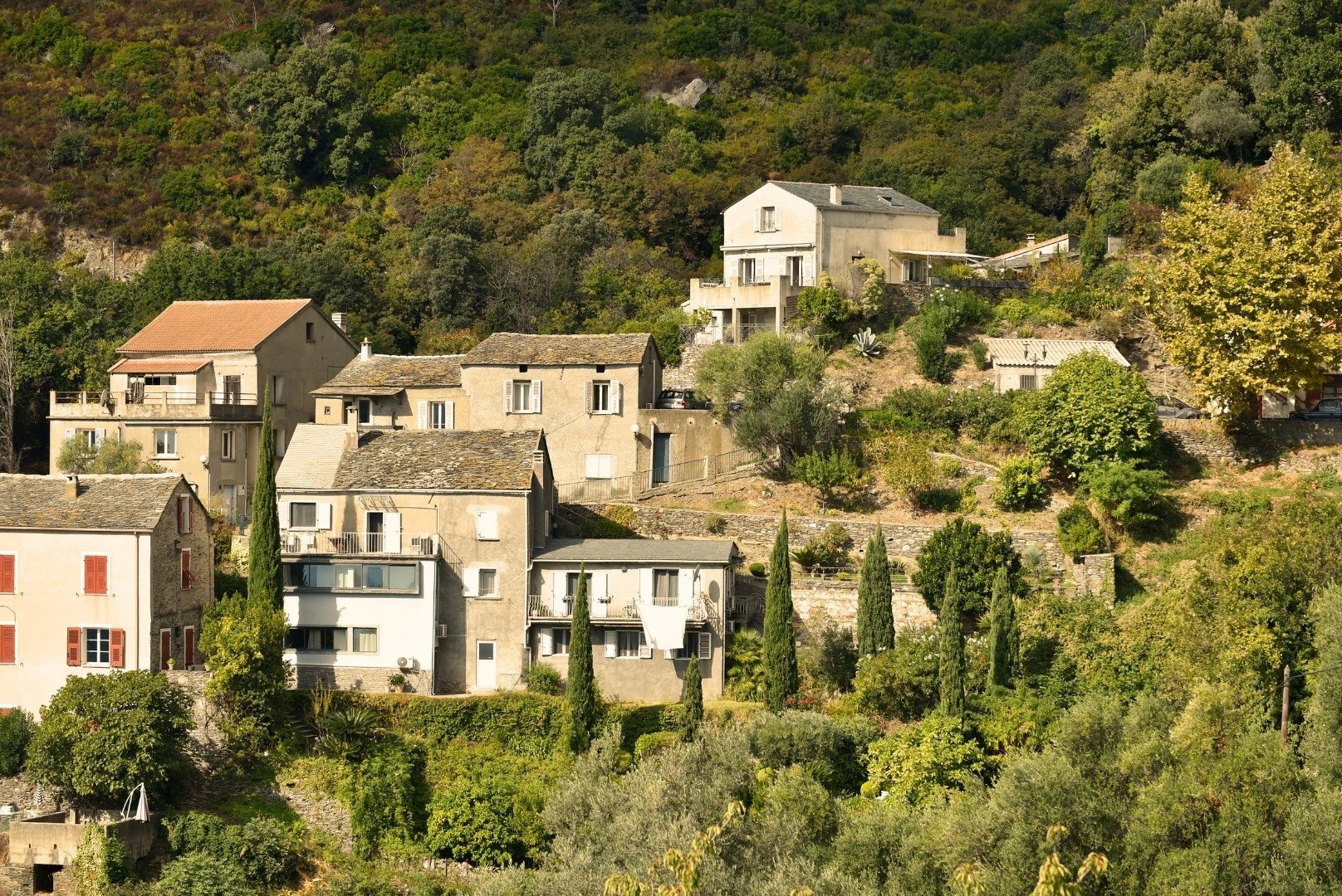 Alt à définir